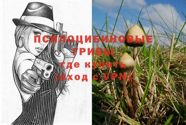 дживик Алзамай