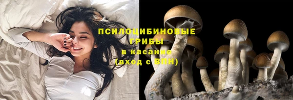 дурь Алексин