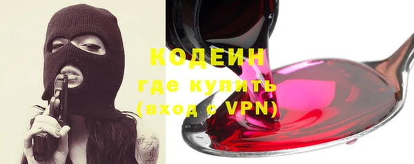 дурь Алексин