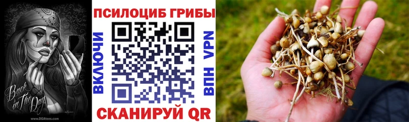 Псилоцибиновые грибы Psilocybe  Похвистнево 