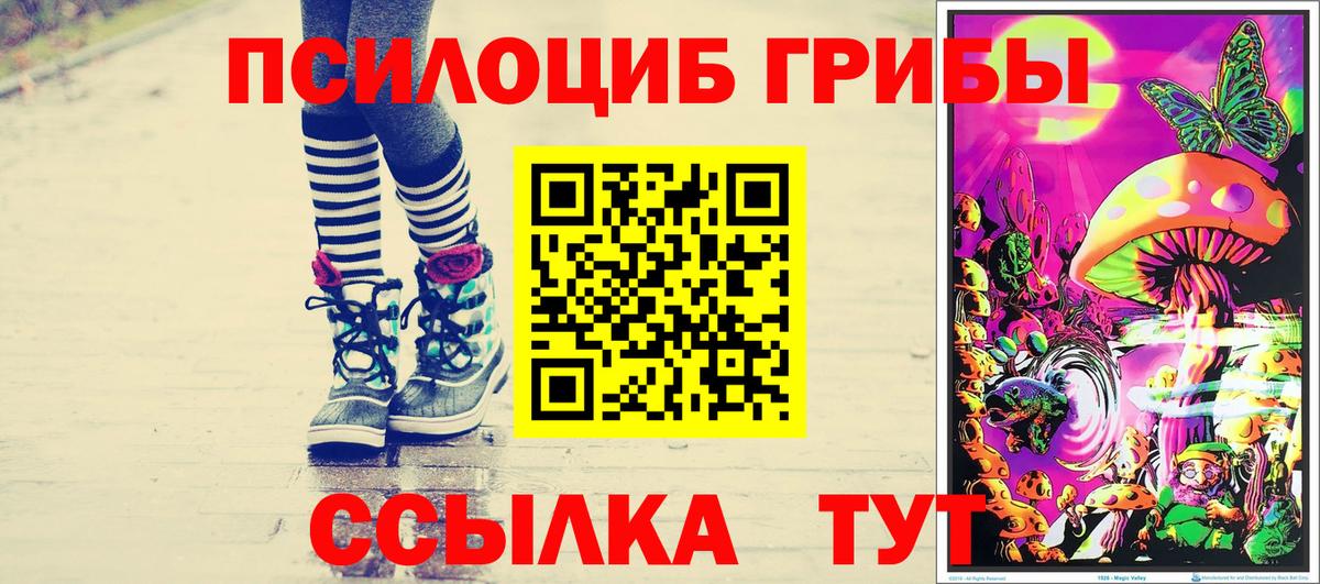Галлюциногенные грибы Psilocybe  купить наркотики сайты  Похвистнево  Псилоцибиновые грибы MAGIC MUSHROOMS  Вход с VPN 